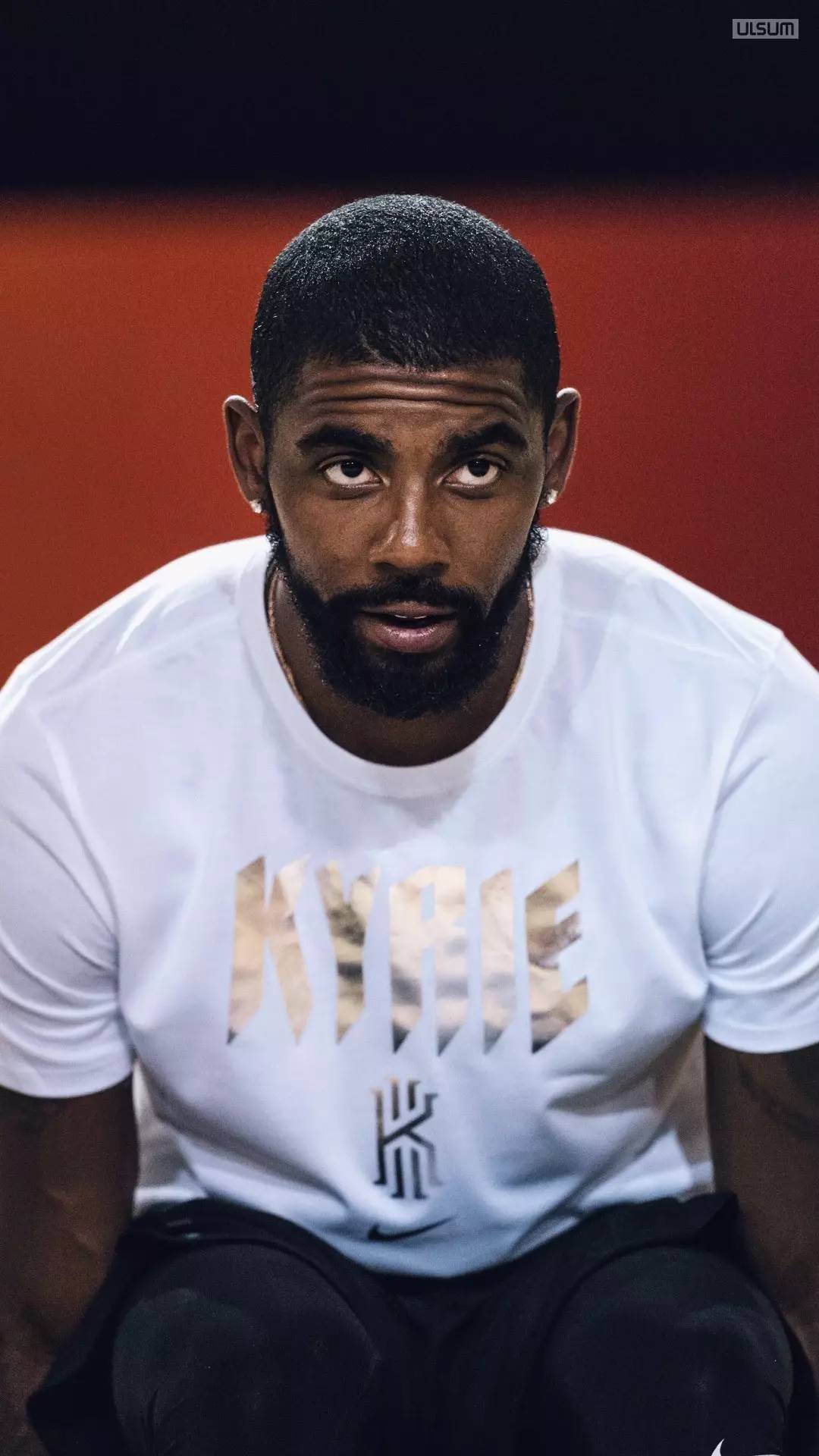 靠背与强强 靠背与强强