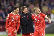 本次联动的 本次联动的